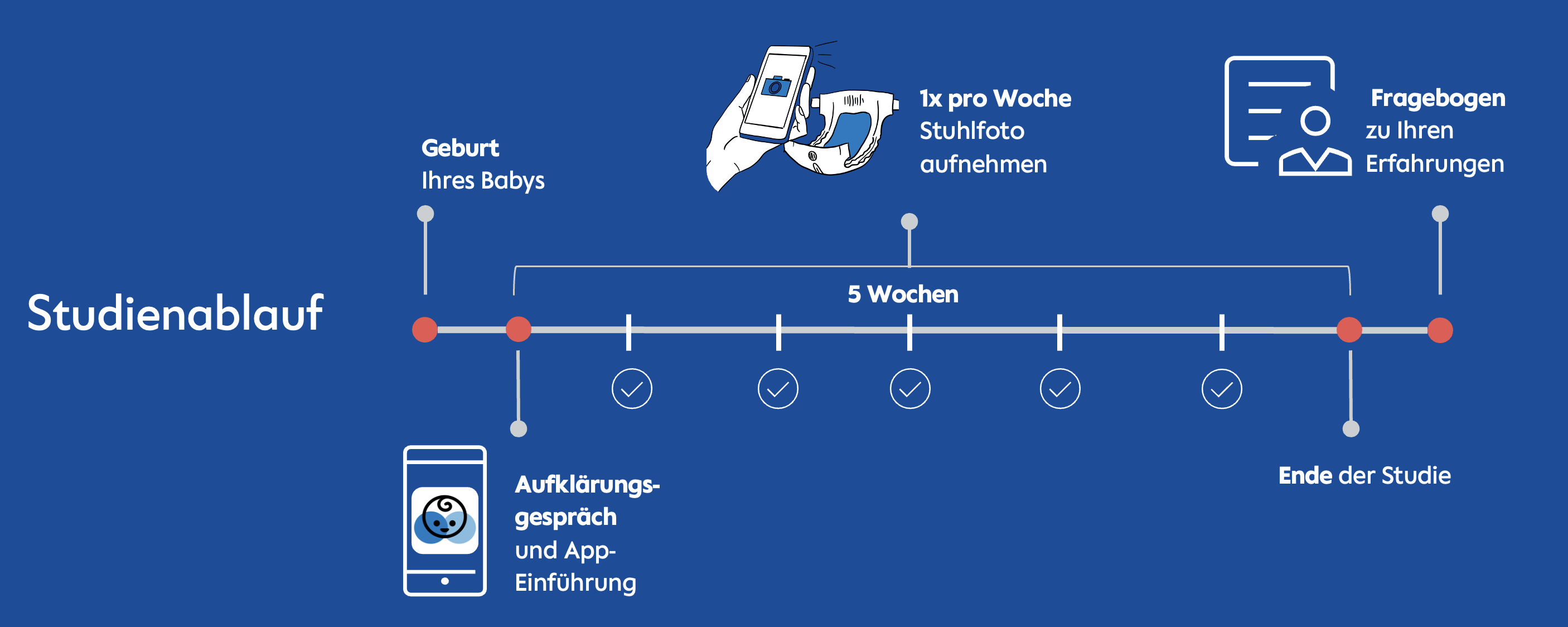 Studienverlauf Timeline